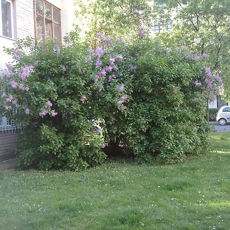 Belvarosi Studio *