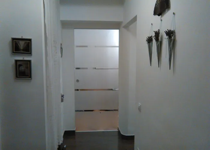 Apartment Belvarosi Studio