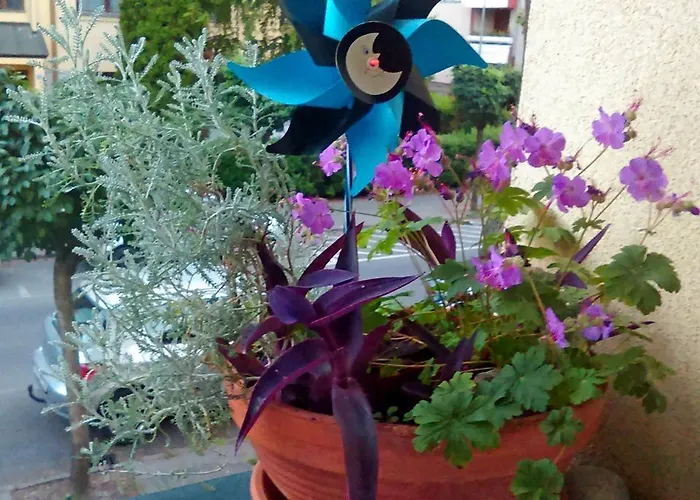 Belvarosi Studio Apartment Gyor